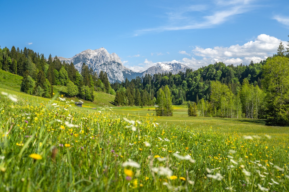 Idyllic alpine landscape in Austria, Heutal, Unken, Pinzgau, Salzburger Land, Austria, Europe