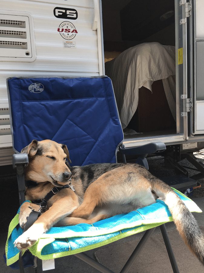 rent pet friendly RV